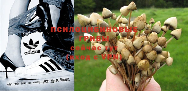 не бодяженный Майский